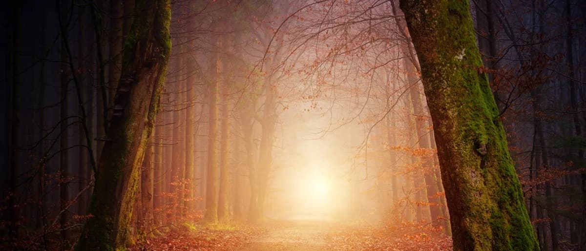 QuestLang adventure world — culturally themed quest worlds for language learning